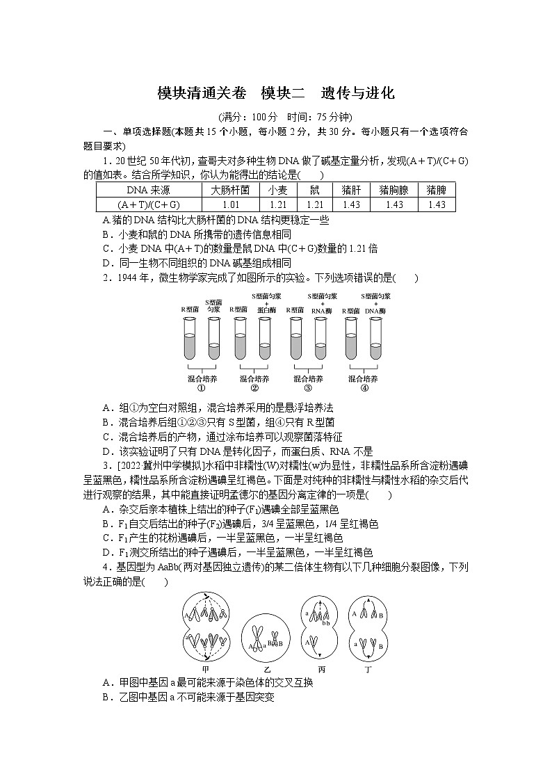2023届人教版高考生物一轮复习遗传与进化阶段检测（山东版）含答案01