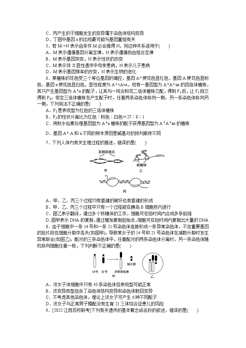 2023届人教版高考生物一轮复习遗传与进化阶段检测（山东版）含答案02
