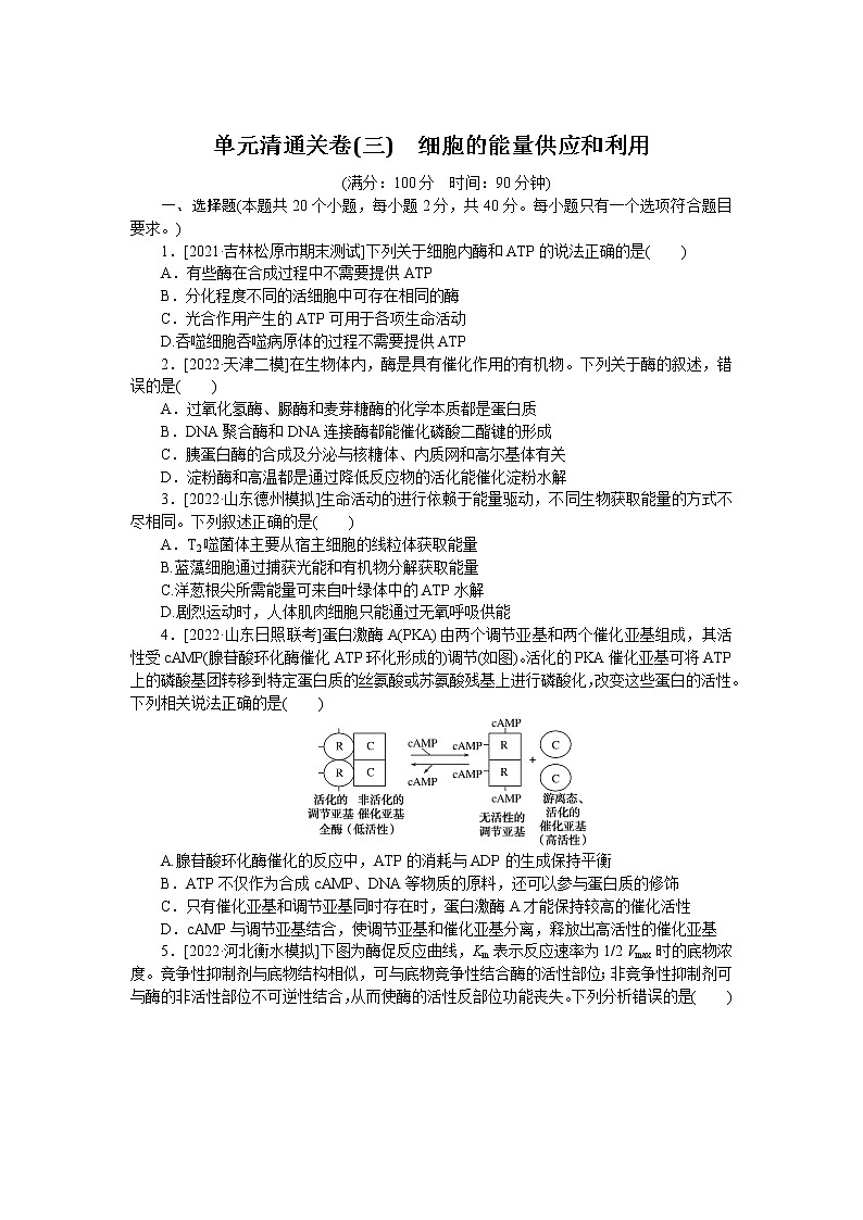 2023届人教版高考生物一轮复习细胞的能量供应和利用单元测试含答案01