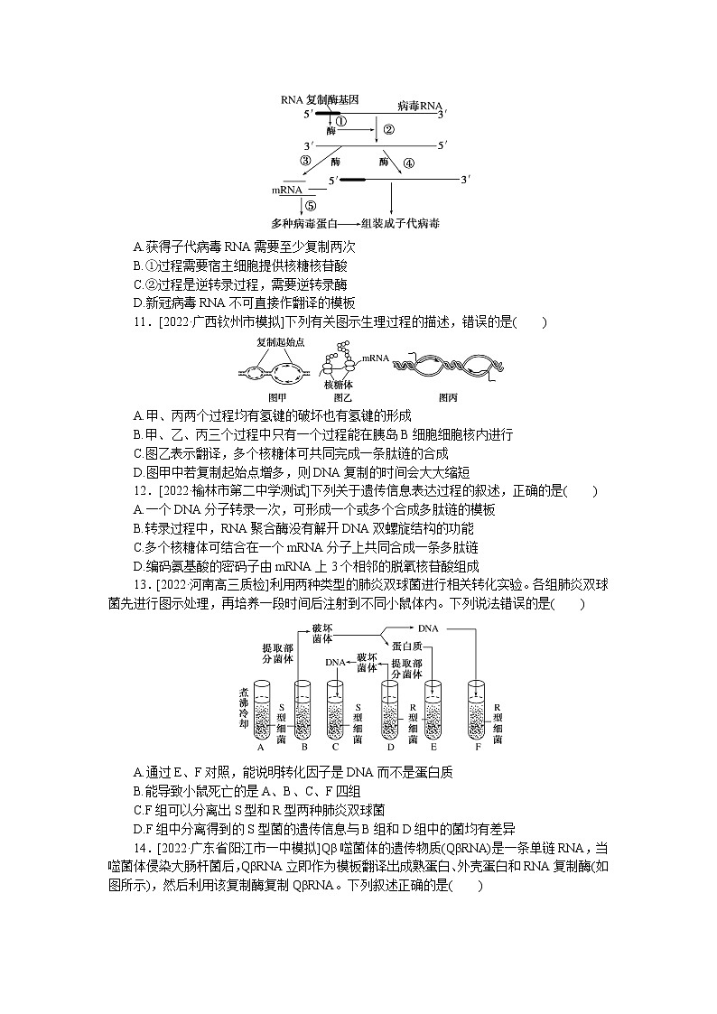 2023届人教版高考生物一轮复习遗传的分子基础单元测试含答案03