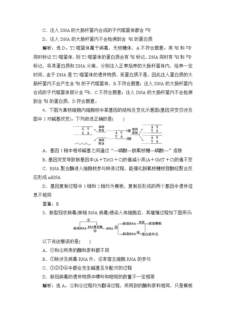 2023届人教版高考生物一轮复习遗传物质基础单元测试含答案02