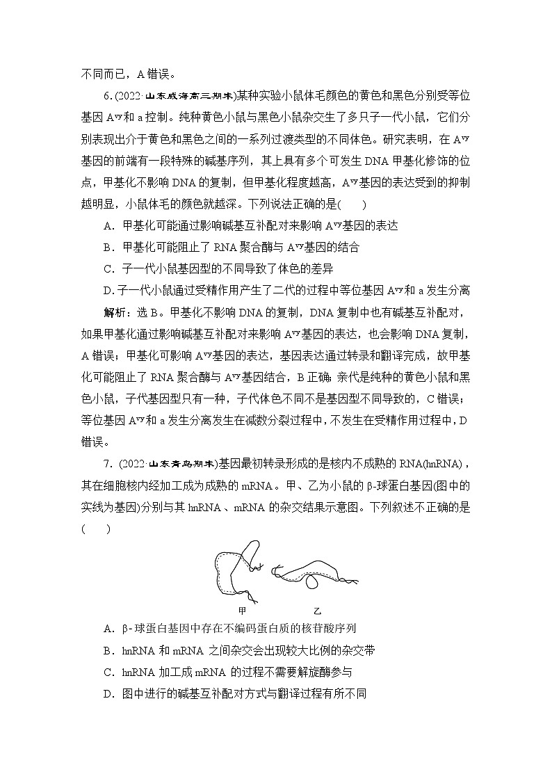 2023届人教版高考生物一轮复习遗传物质基础单元测试含答案03