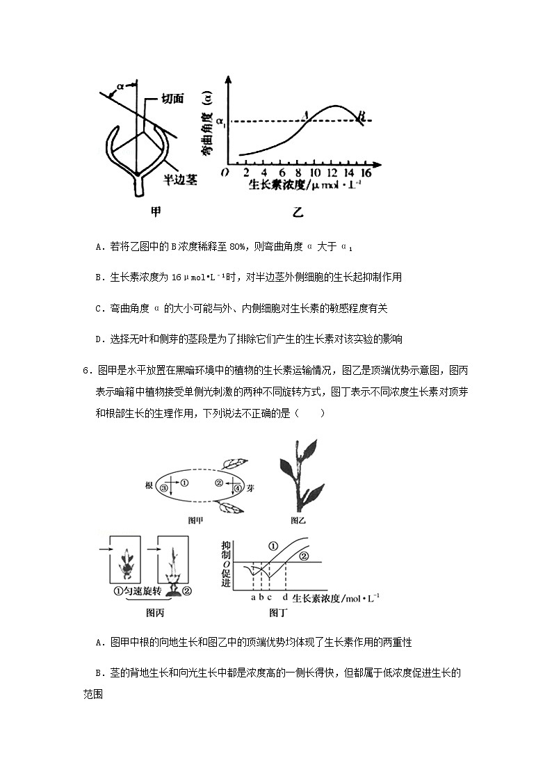 2023届人教版高考生物一轮复习植物的激素调节B卷单元检测含答案第3页