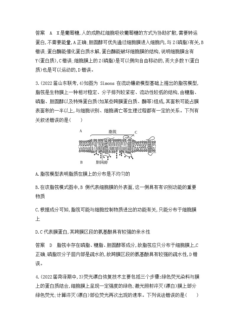 2023届浙科版高考生物一轮复习细胞的结构与功能单元测试2（浙江专用）含答案第2页