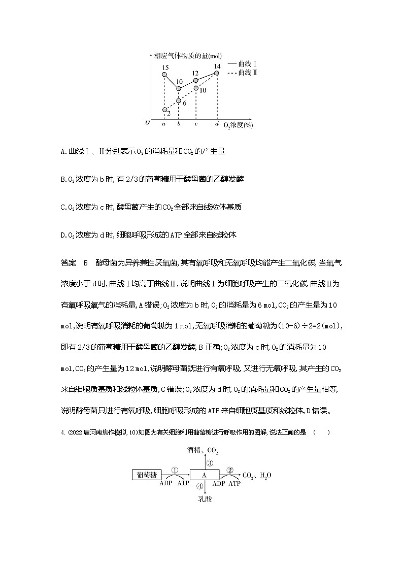 2023届浙科版高考生物一轮复习细胞呼吸单元测试（浙江专用）含答案第3页
