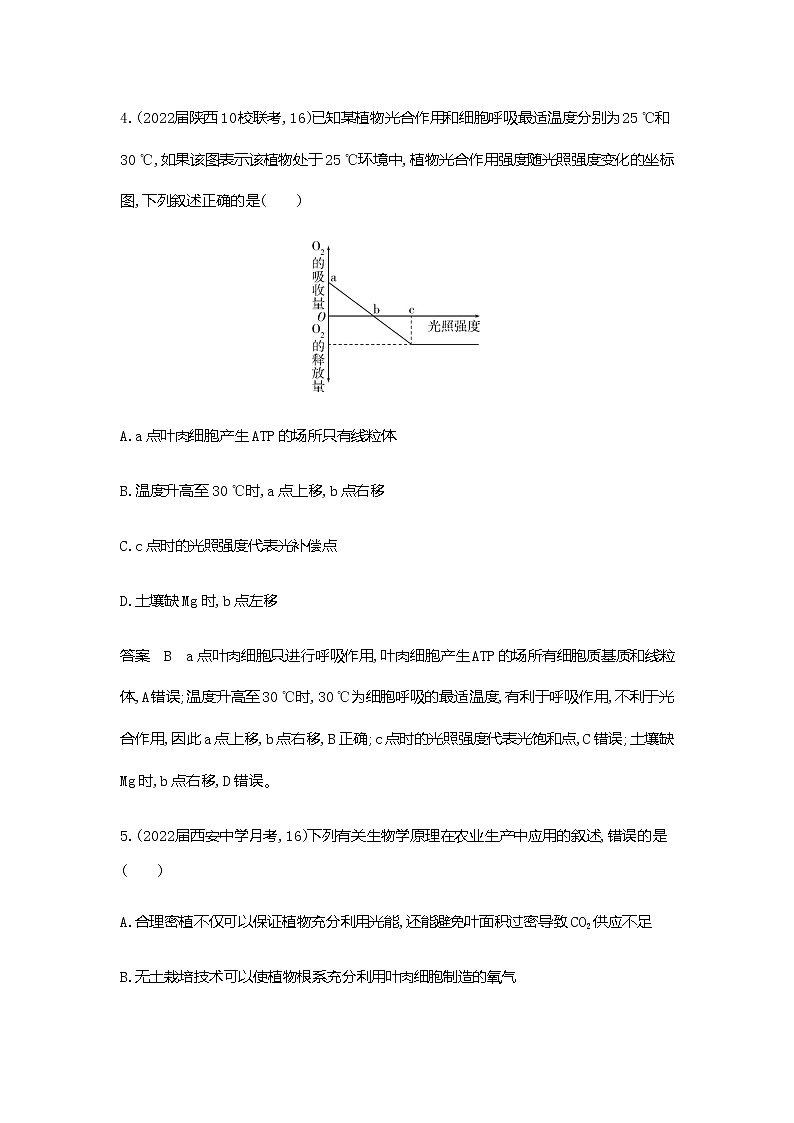 2023届浙科版高考生物一轮复习光合作用单元测试（浙江专用）含答案第3页