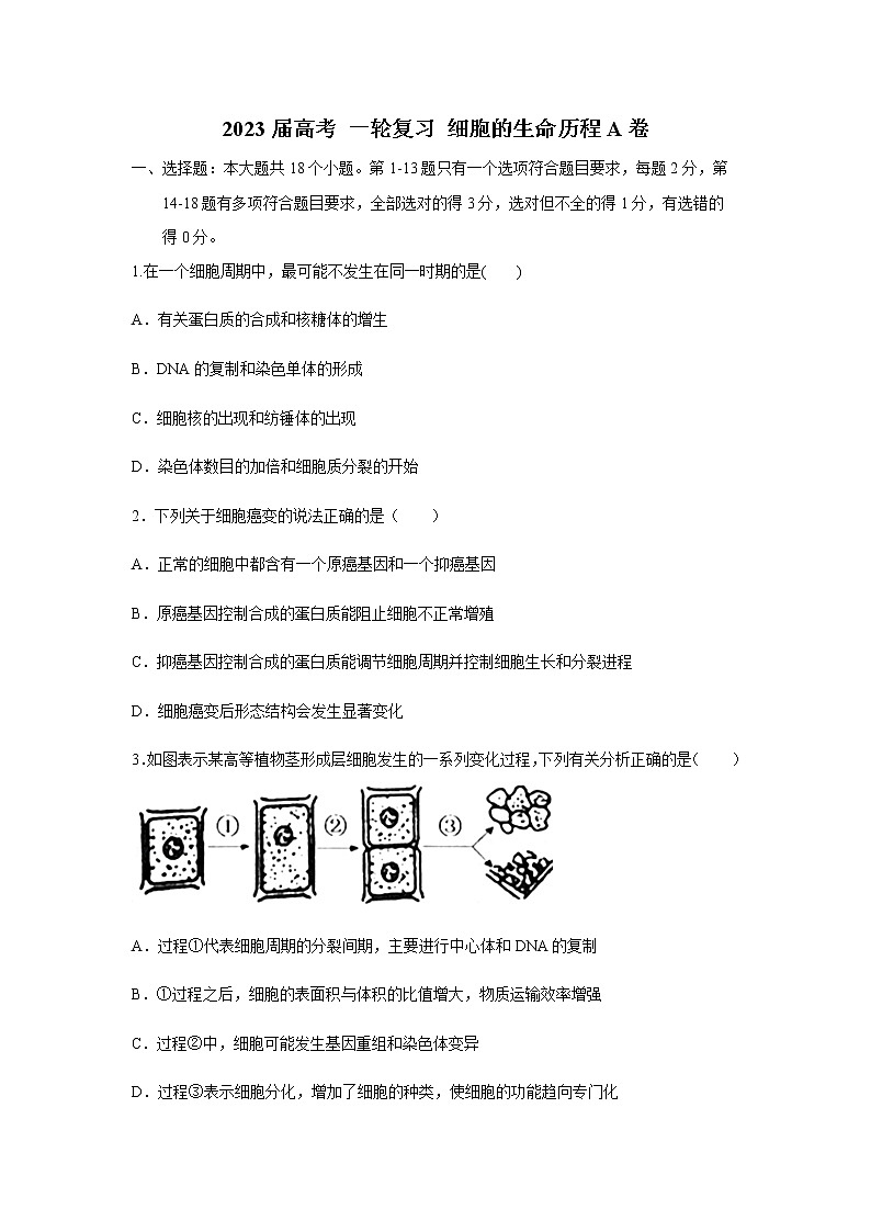 2023届高考生物一轮复习细胞的生命历程A卷单元检测含答案第1页