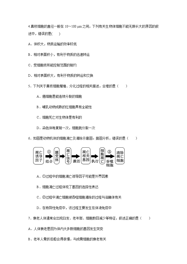 2023届高考生物一轮复习细胞的生命历程A卷单元检测含答案第2页