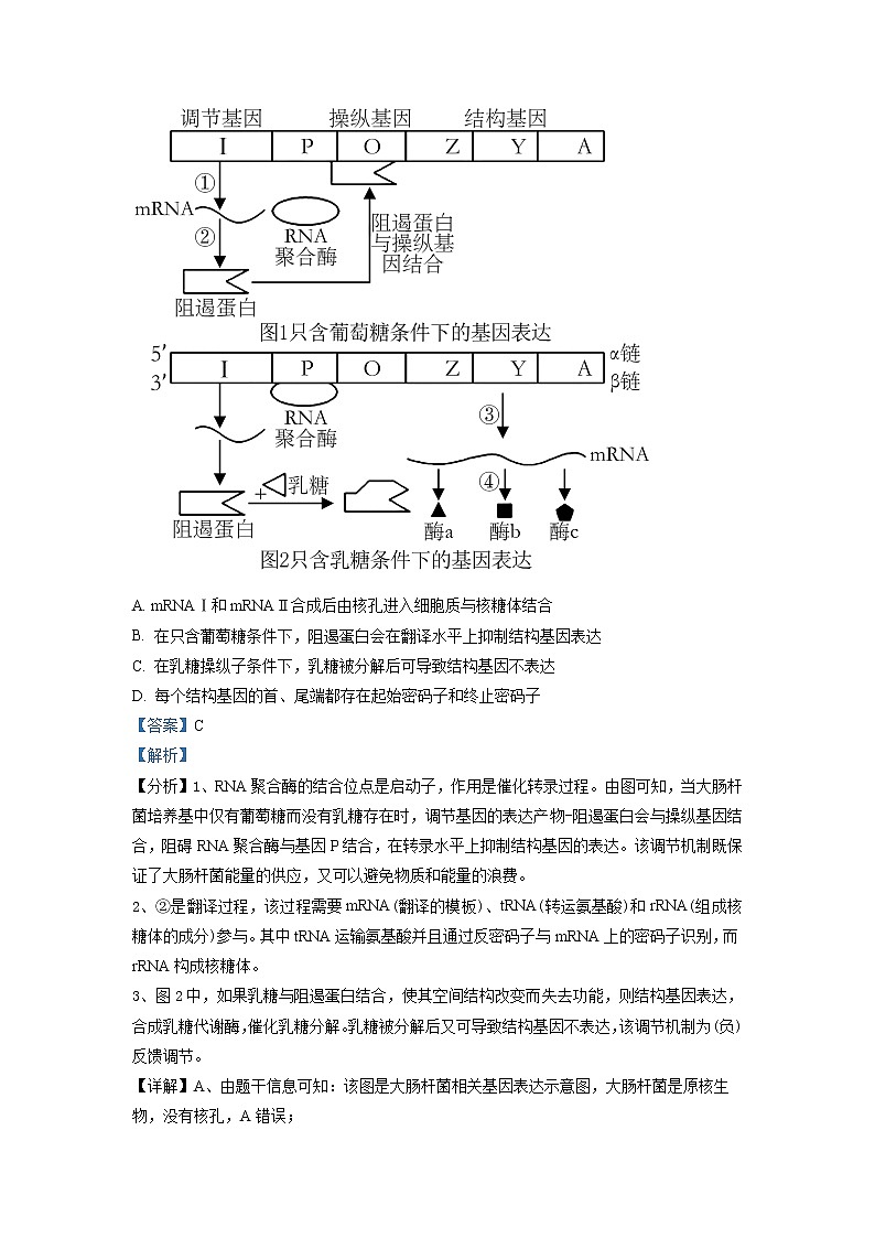 安徽省蚌埠市2023届高三生物第二次教学质量检查考试试题（Word版附解析）03