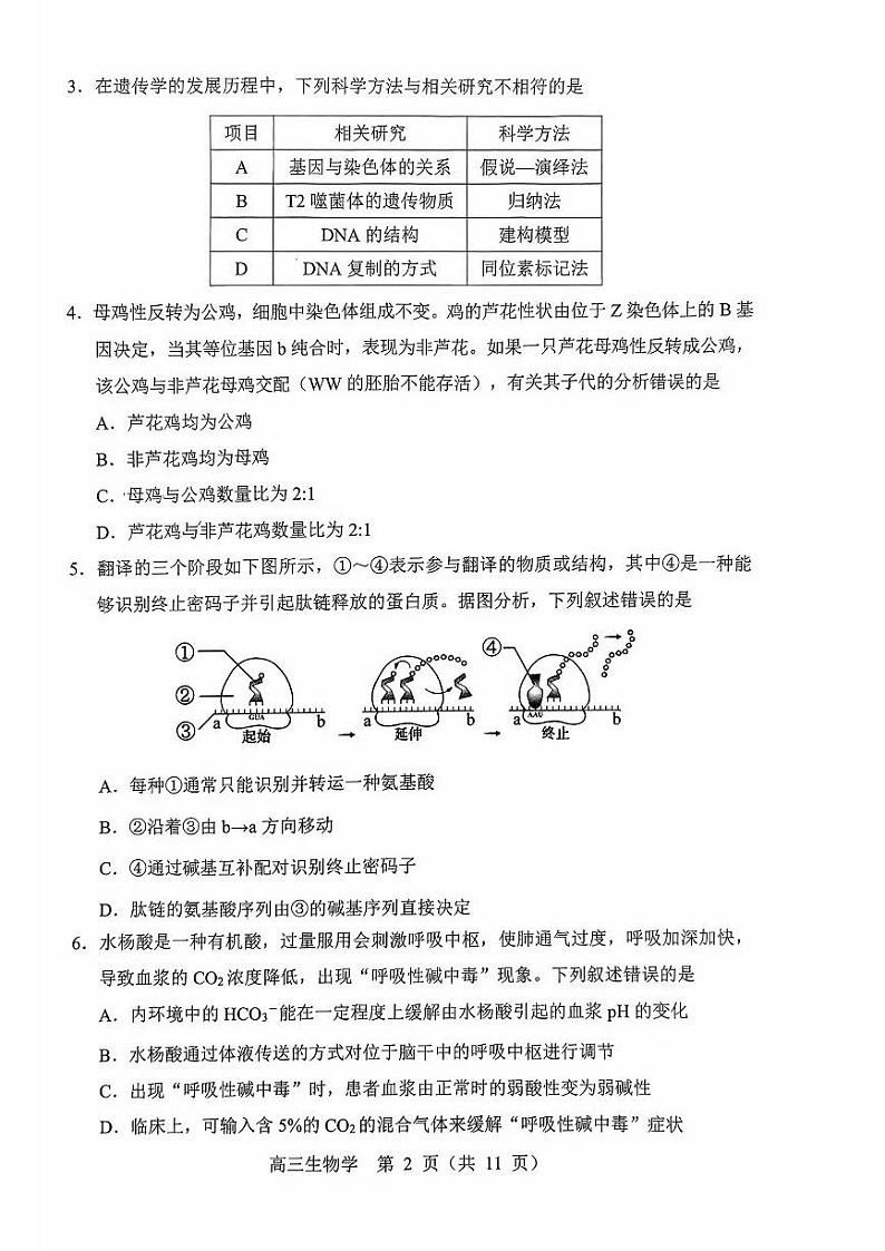 2023届东北三省四市高三下学期质量检测（二）生物试卷（PDF版）第2页