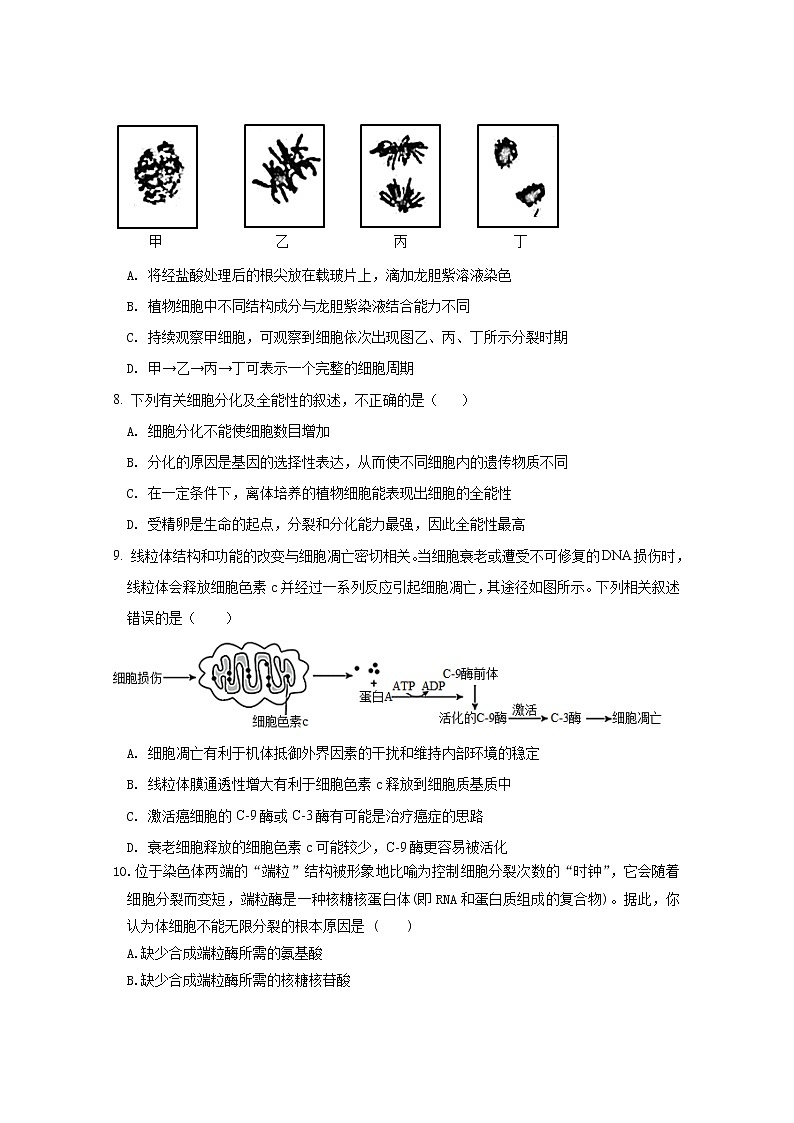 广东省佛山市第一中学2022-2023学年高一生物下学期第一次教学质量检测试题（选考）（Word版附答案）03