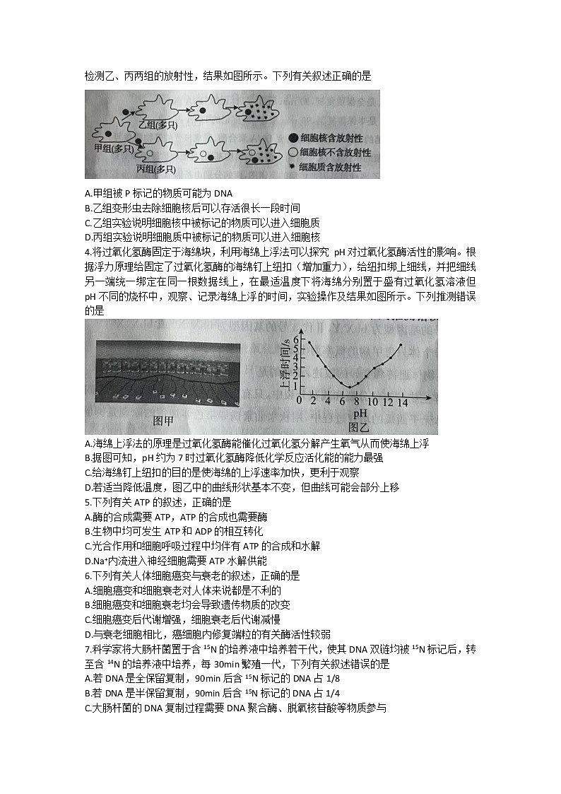 河北省张家口市2023届高三生物下学期高考二模试卷（Word版附解析）02