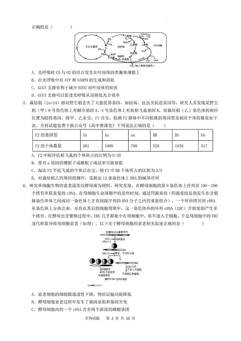 2023重庆市育才中学校高三下学期期中考试 生物试题02
