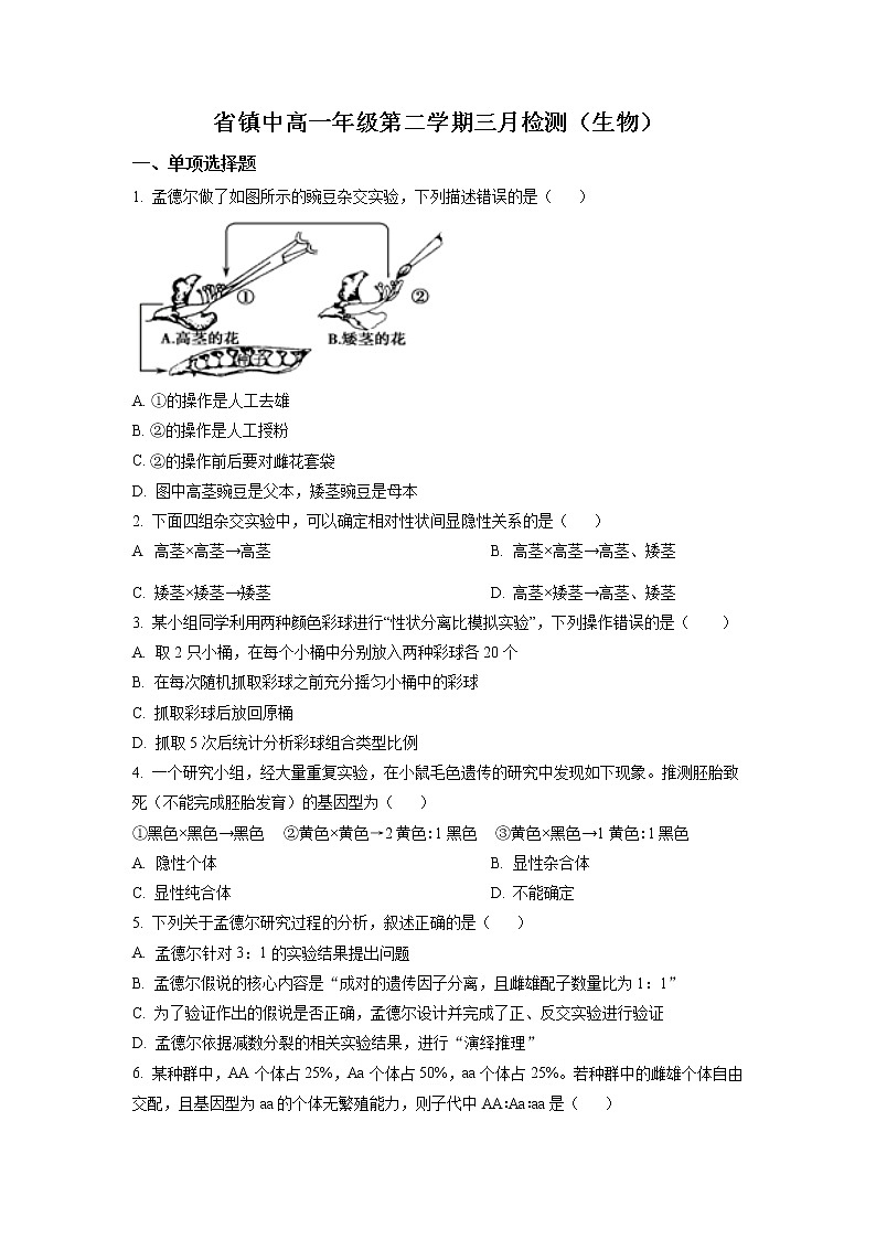 江苏省镇江中学2022-2023学年高一生物下学期3月检测试题（Word版附答案）第1页