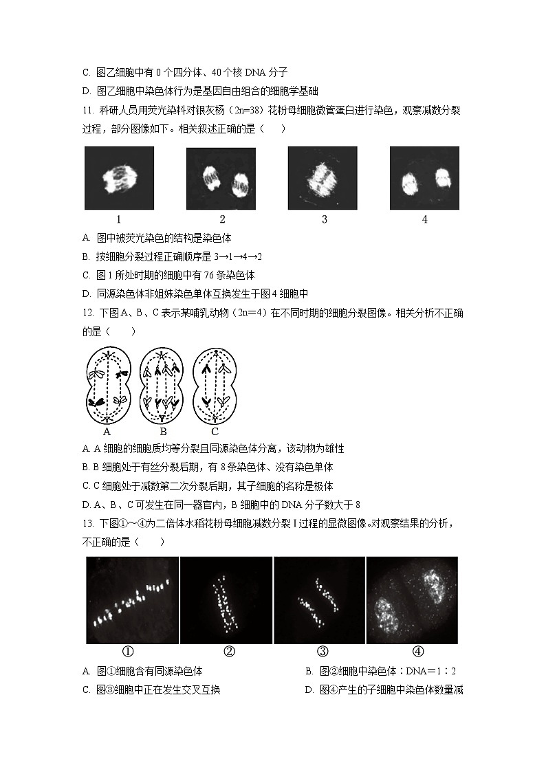 江苏省镇江中学2022-2023学年高一生物下学期3月检测试题（Word版附答案）第3页