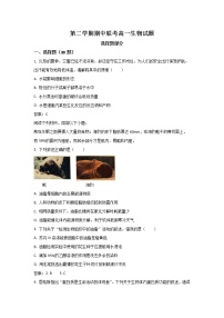 浙江省九校联考2022-2023学年高一生物下学期期中联考试卷（Word版附答案）