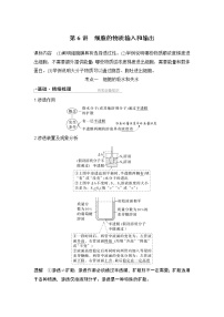 2024高考生物一轮复习讲义 第一章 第6讲　细胞的物质输入和输出