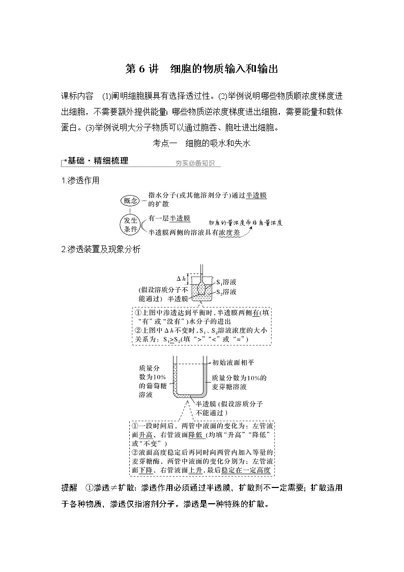 2024高考生物一轮复习讲义 第一章 第6讲　细胞的物质输入和输出第1页