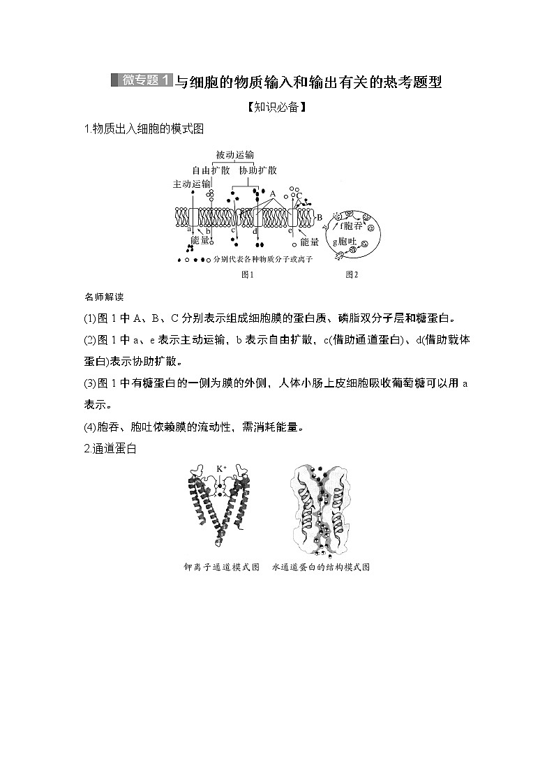 2024高考生物一轮复习讲义 第一章 微专题1  与细胞的物质输入和输出有关的热考题型第1页
