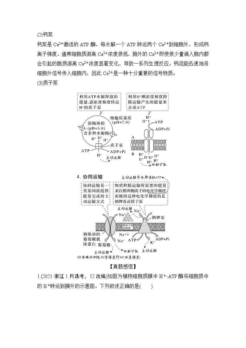 2024高考生物一轮复习讲义 第一章 微专题1  与细胞的物质输入和输出有关的热考题型第3页