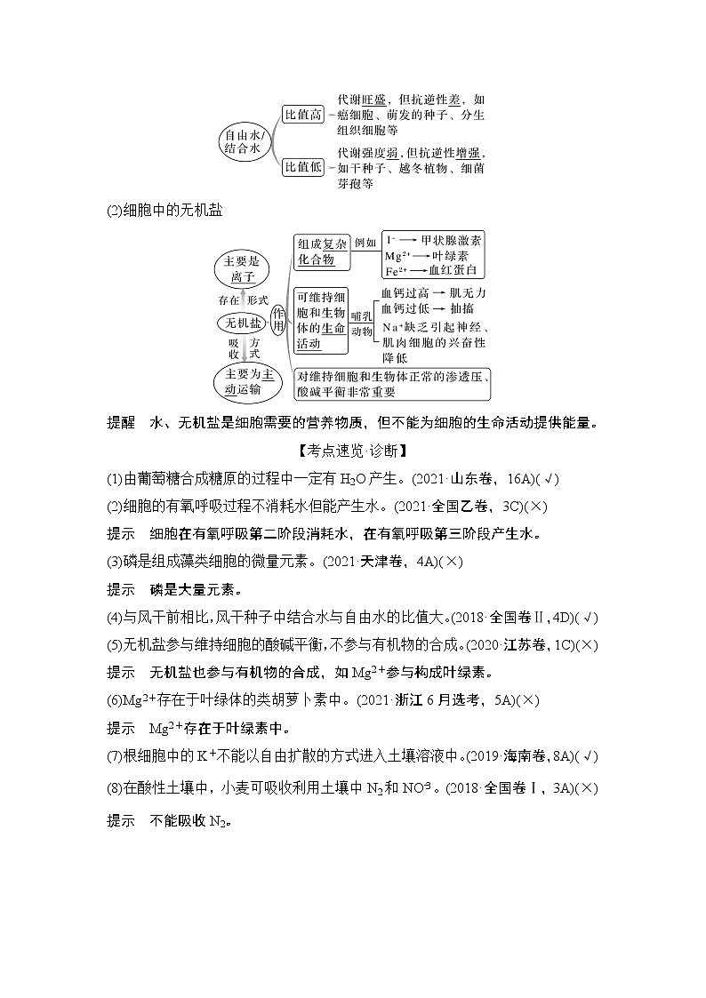 2024高考生物一轮复习讲义 第一章第2讲　细胞中的无机物、糖类和脂质第3页