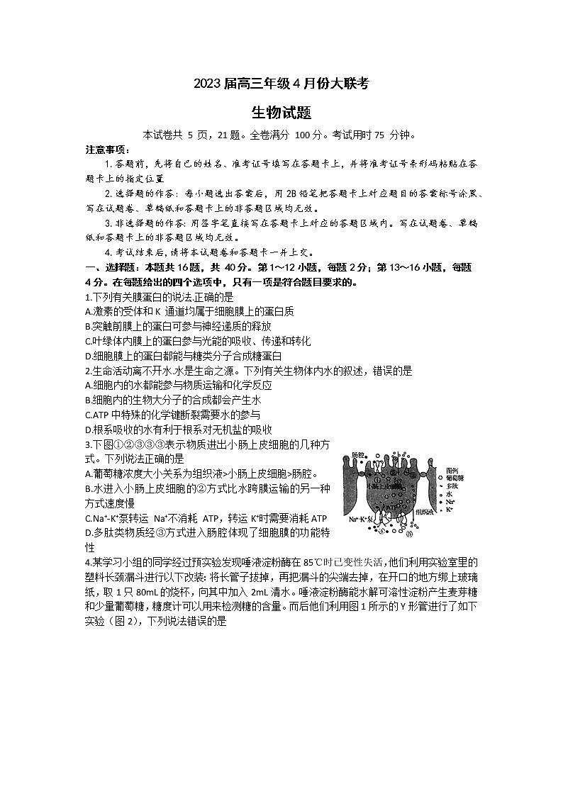 广东省普通高中2023届学业水平选择性模拟考试（二）高三生物试卷Word版含答案01
