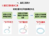 人教版高中生物选择性必修第三册·第3章- 第1节 重组DNA技术的基本工具（课件PPT）