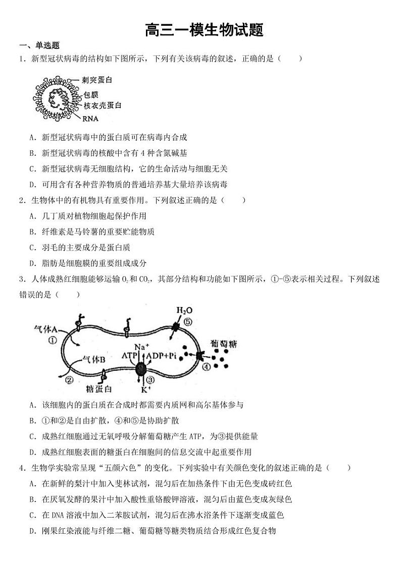 广东省梅州市高三一模生物试题【附参考答案】第1页