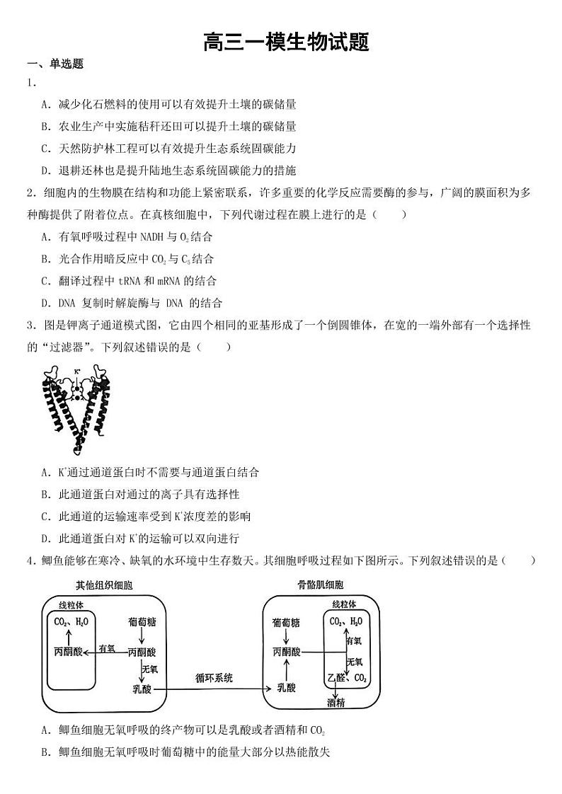 广东省深圳市高三一模生物试题【附参考答案】01