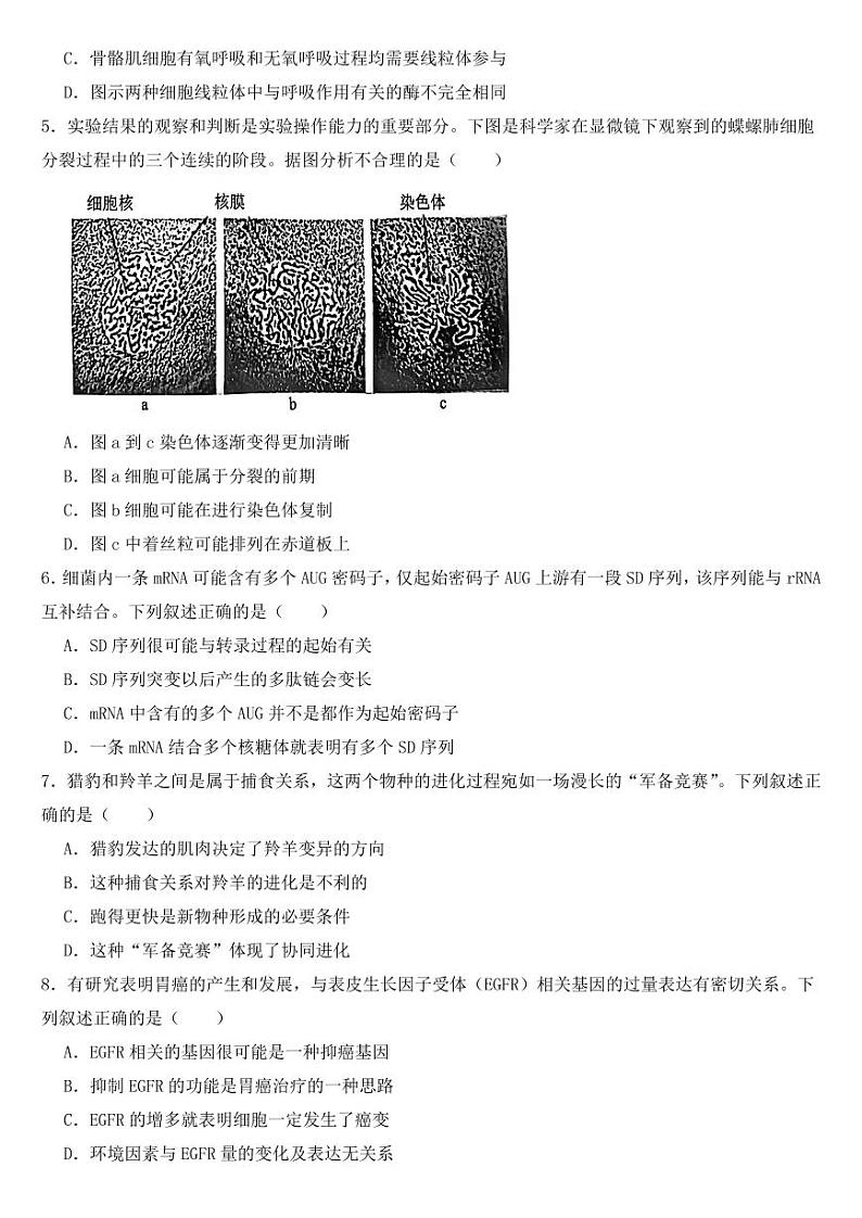 广东省深圳市高三一模生物试题【附参考答案】02