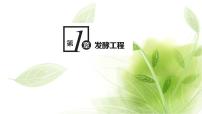 高中生物人教版 (2019)选择性必修3第1节 传统发酵技术的应用课堂教学ppt课件