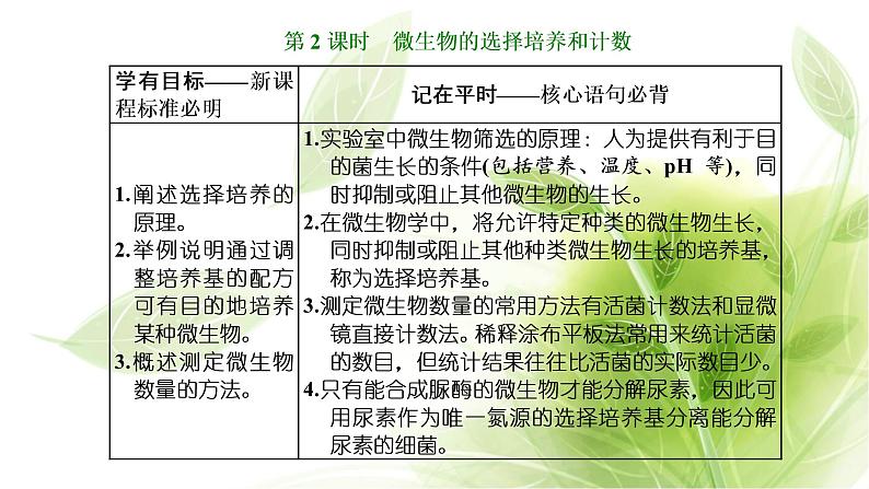 人教版高中生物选择性必修3第1章发酵工程第2节第2课时微生物的选择培养和计数课件+课时检测含答案01