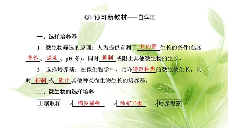 人教版高中生物选择性必修3第1章发酵工程第2节第2课时微生物的选择培养和计数课件+课时检测含答案02