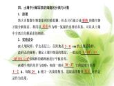 人教版高中生物选择性必修3第1章发酵工程第2节第2课时微生物的选择培养和计数课件+课时检测含答案