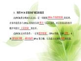 人教版高中生物选择性必修3第3章基因工程第2节基因工程的基本操作程序课件+课时检测含答案