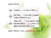 人教版高中生物选择性必修3第3章基因工程第2节基因工程的基本操作程序课件+课时检测含答案