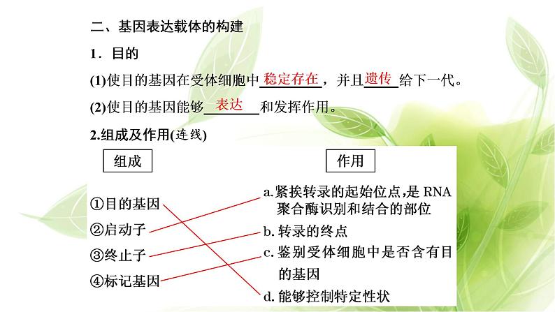 人教版高中生物选择性必修3第3章基因工程第2节基因工程的基本操作程序课件+课时检测含答案05