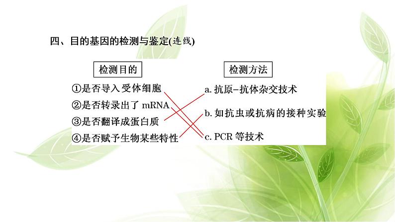 人教版高中生物选择性必修3第3章基因工程第2节基因工程的基本操作程序课件+课时检测含答案07