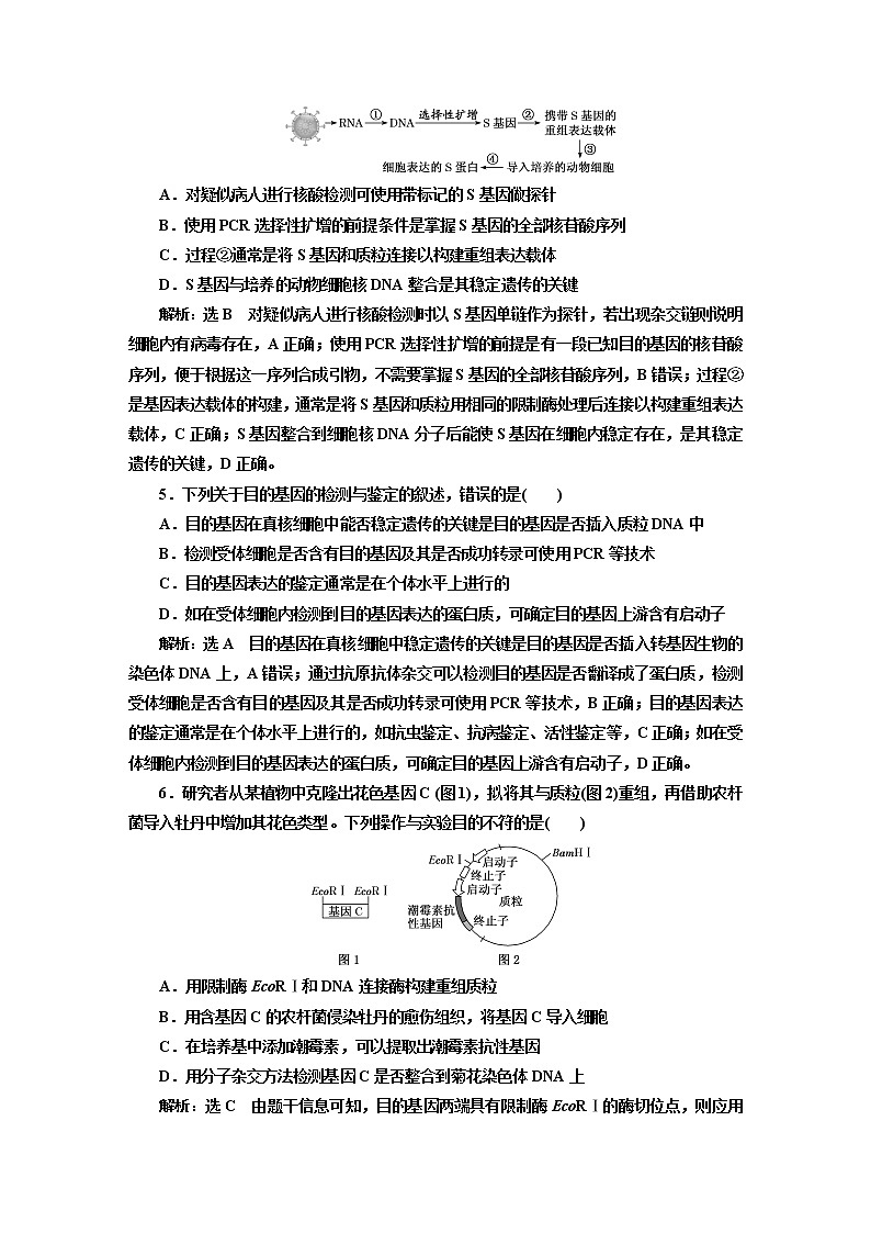 人教版高中生物选择性必修3第3章基因工程第2节基因工程的基本操作程序课件+课时检测含答案02