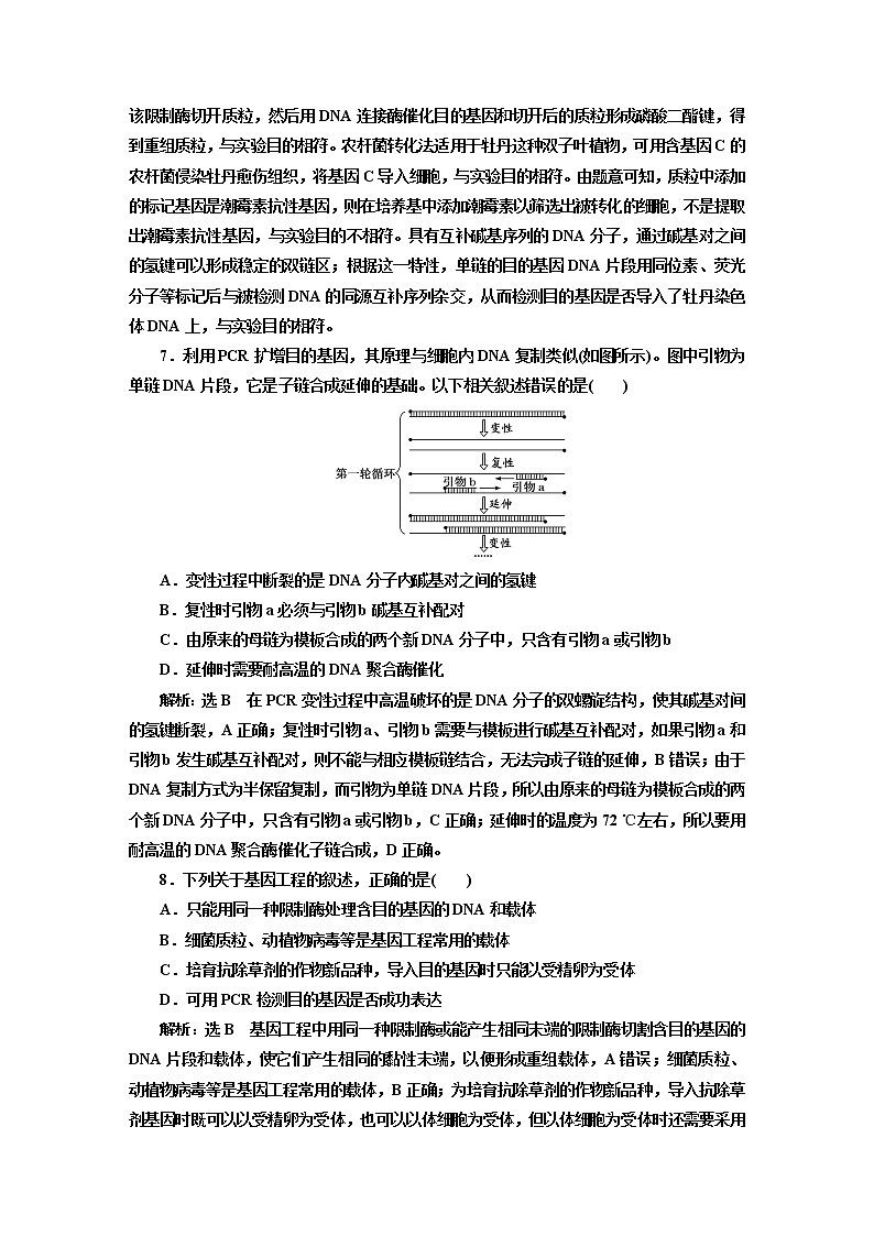 人教版高中生物选择性必修3第3章基因工程第2节基因工程的基本操作程序课件+课时检测含答案03