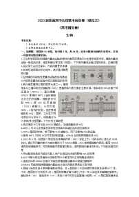 湖南2023届·普通高中名校联考信息卷（模拟三）（高考研究卷）生物试题