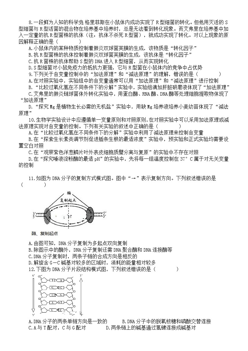 高中生物人教版新教材必修二新增知识点专项练习（附参考答案）第2页