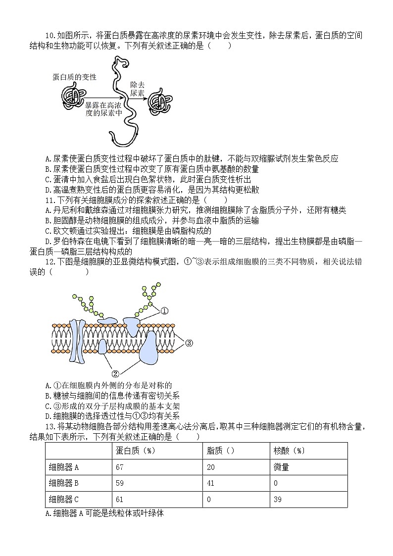 高中生物人教版新教材必修一新增知识点专项练习（附参考答案）02