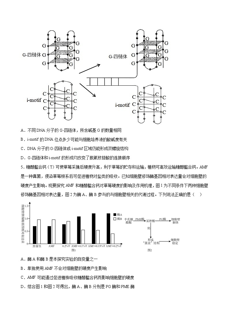 2023年高考考前押题密卷-生物（辽宁卷）（考试版）第3页