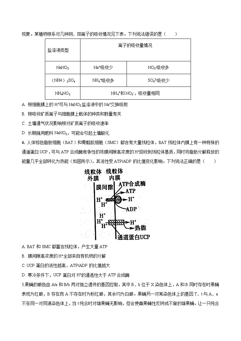 2023年高考考前押题密卷-生物（山东卷）（A4考试版）02
