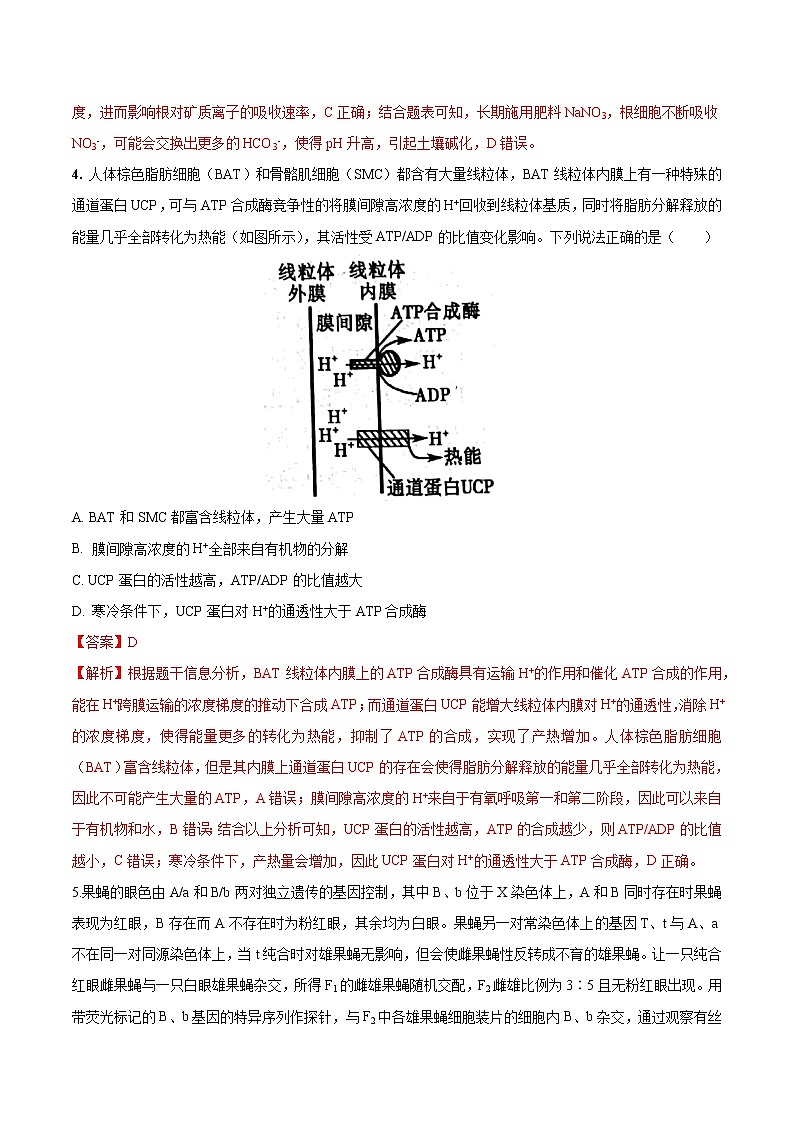 2023年高考考前押题密卷-生物（山东卷）（全解全析）03