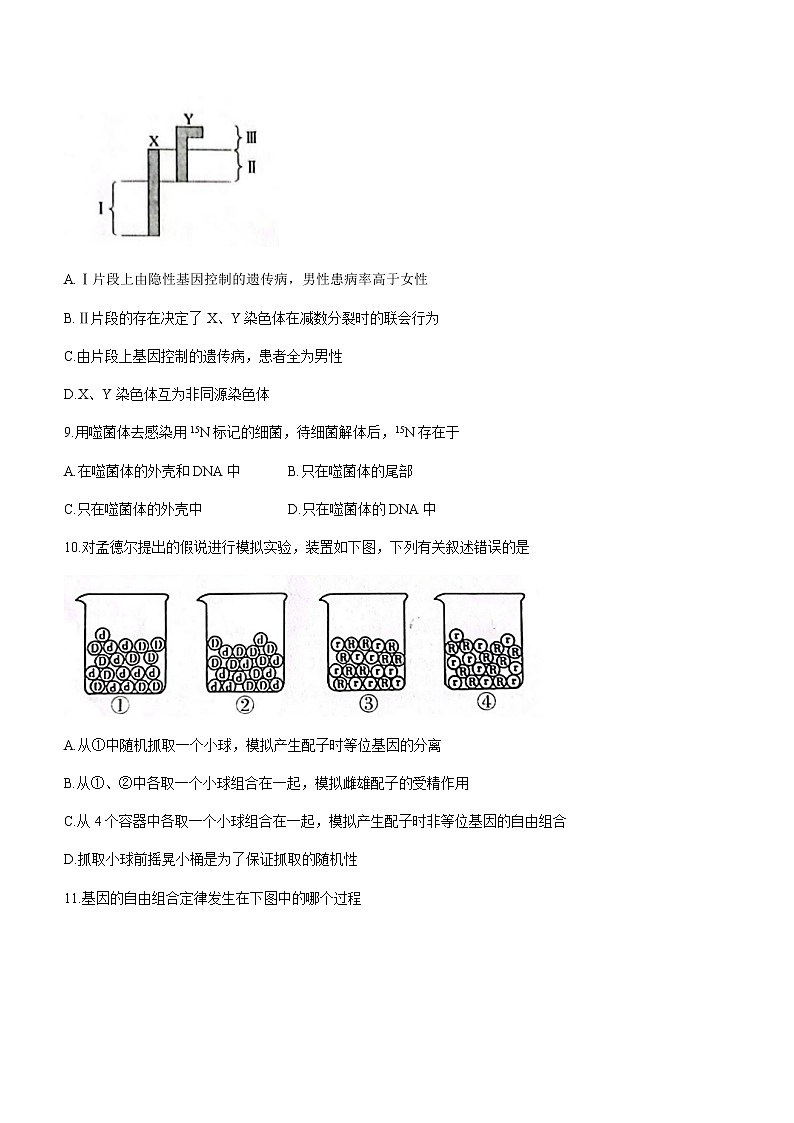 2022-2023学年广东省茂名市电白区高一下学期（选择性）期中考试生物试题含答案03
