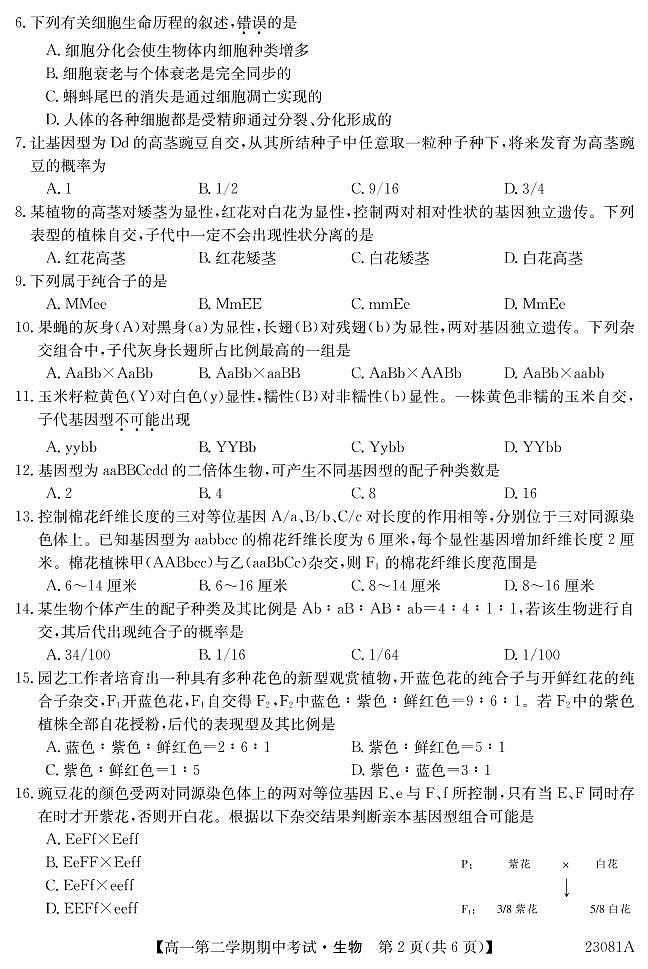 2022-2023学年广东省深圳市高一下学期期中考试生物试题含答案02