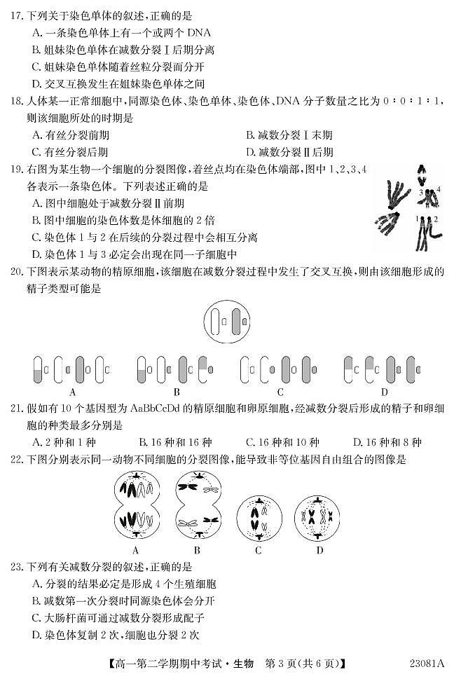 2022-2023学年广东省深圳市高一下学期期中考试生物试题含答案03