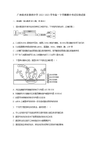 2022-2023学年广西钦州市第四中学高一下学期期中考试生物试卷含答案